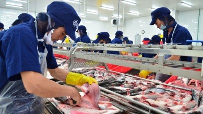 La Russie lève l’embargo sur les produits aquatiques vietnamiens - ảnh 1